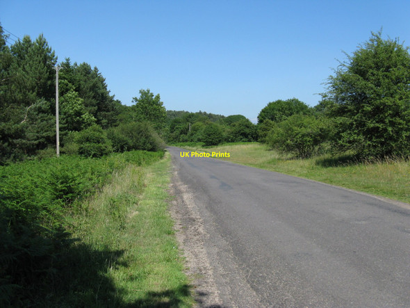 Photo 6"x4" Hoyle Lane north of Hoyle Hoyle\/SU9018 c2010