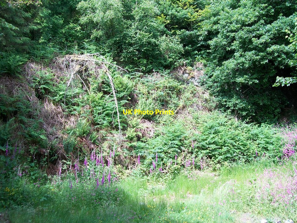 Photo 6"x4" Obscured quarry face in Coed Mynydd-Meilian Edern c2010