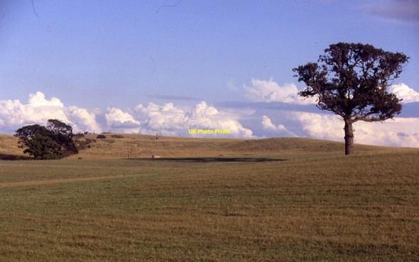 Photo 6"x4" Fields north of Nether Stowey Nether Stowey c1991