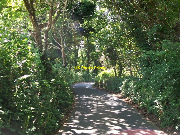 Photo 6"x4" Start of the Nant y Gledrydd spiral Garnfadryn c2010