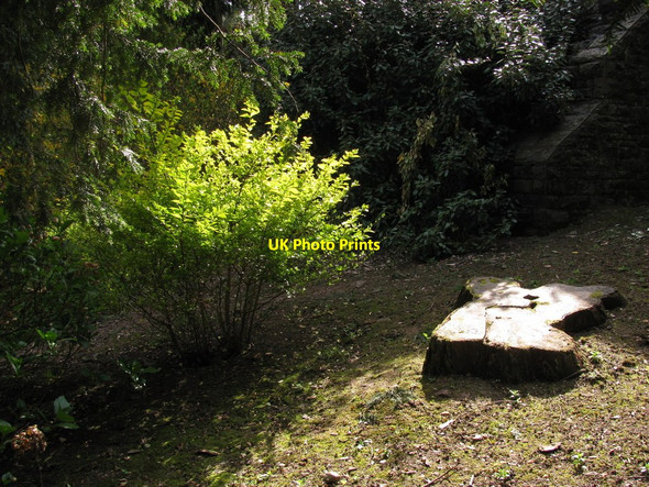 Photo 6"x4" Light in Belle Vue Shadows Newport\/Casnewydd c2010