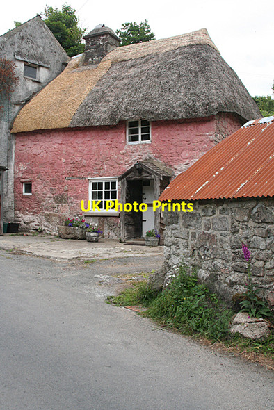 Photo 6"x4" Widecombe in the Moor: Pink Cottage Higher Dunstone c2010