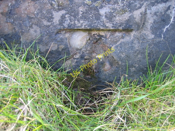 Photo 6"x4" Damaged bench mark on Hilbre Island Hoylake c2008