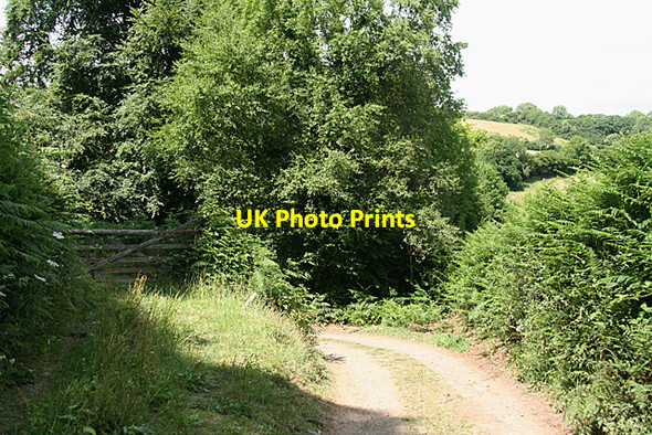 Photo 6"x4" Holne: track to Great Combe Michelcombe c2010