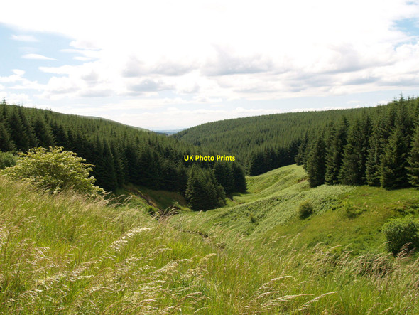 Photo 6"x4" Laidlehope Burn Valley Hermitage\/NY5095 c2009