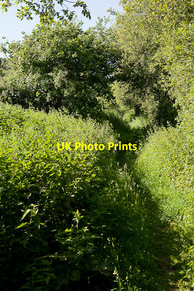 Photo 6"x4" Avon Valley Path at Kingston Kingston\/SU1402 c2010