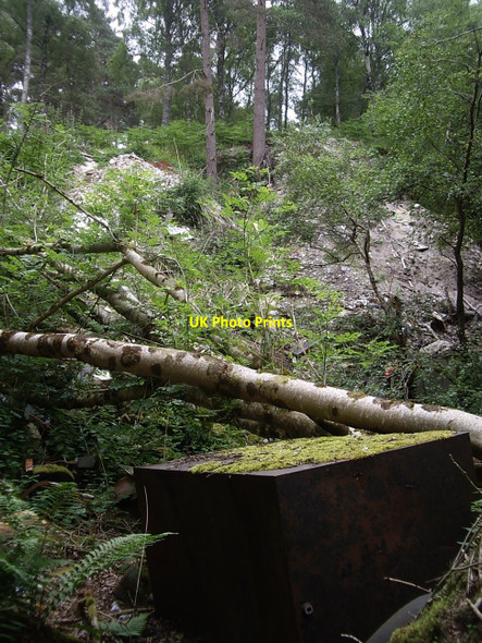 Photo 6"x4" Former quarry site in Annisland Park Kincardine O'Neil c2010