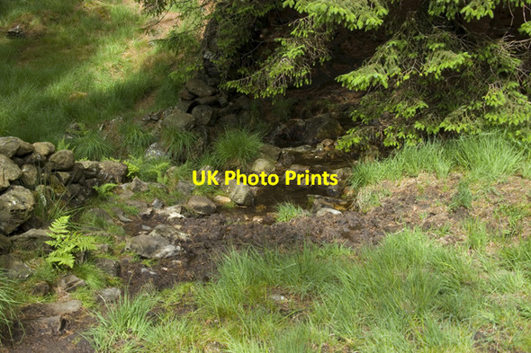 Photo 6"x4" Footpath under Pike How Cockley Beck\/NY2401 c2010
