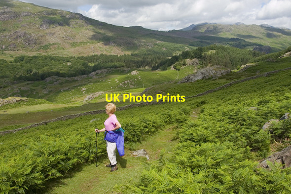 Photo 6"x4" The Duddon valley Seathwaite\/SD2296 c2010