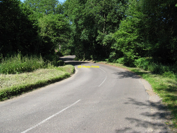Photo 6"x4" Mill Lane approaching Heyshott Common Midhurst c2010