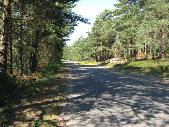 Photo 6"x4" New Road north to South Ambersham South Ambersham c2010
