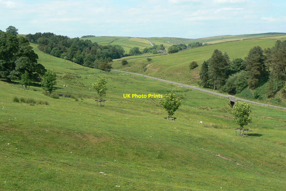Photo 6"x4" Valley of the Tor Brook Macclesfield Forest c2010