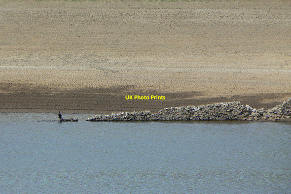 Photo 6"x4" Trentabank reservoir  June 2010 (9) Macclesfield Forest c2010