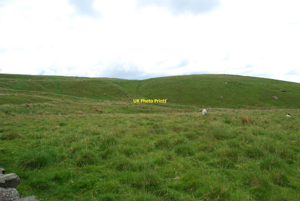 Photo 6"x4" Upland grazings beside Moor Head Lane. Helwith Bridge c2010