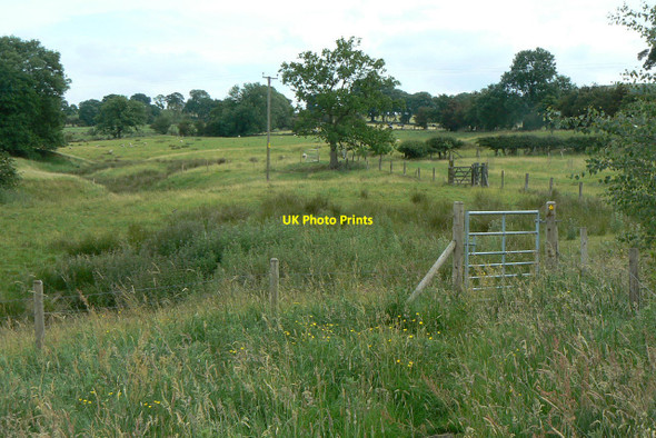 Photo 6"x4" Footpath above Hollin Lane Oakgrove\/SJ9169 c2010