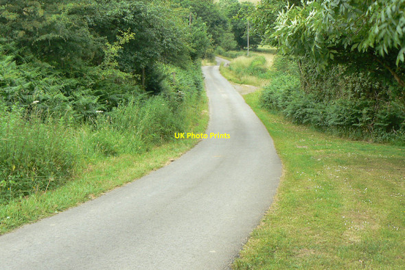 Photo 6"x4" Brooks Lane Bosley c2010