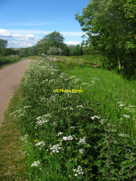 Photo 6"x4" Towpath at Gwasted Newport\/Casnewydd c2010