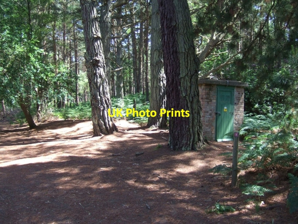 Photo 6"x4" Bat hibernaculum on Brownsea Island Lower Hamworthy c2010