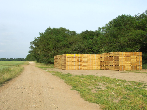 Photo 6"x4" Potato Crates Cavenham c2010