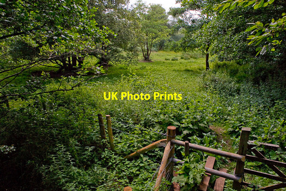 Photo 6"x4" Footpath on Baddesley Common Crampmoor c2010