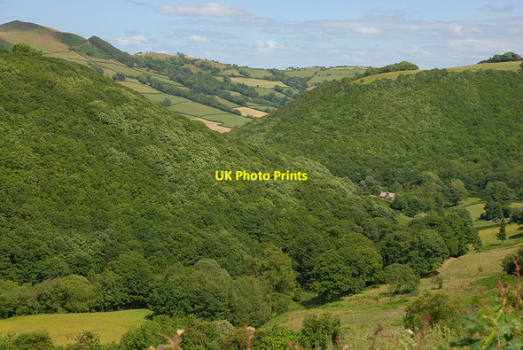 Photo 6"x4" Coed Pen-y-Banc Gwernafon c2010