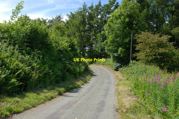 Photo 6"x4" Minor road climbing away from the Nant Cwmcidyn Gwernafon c2010