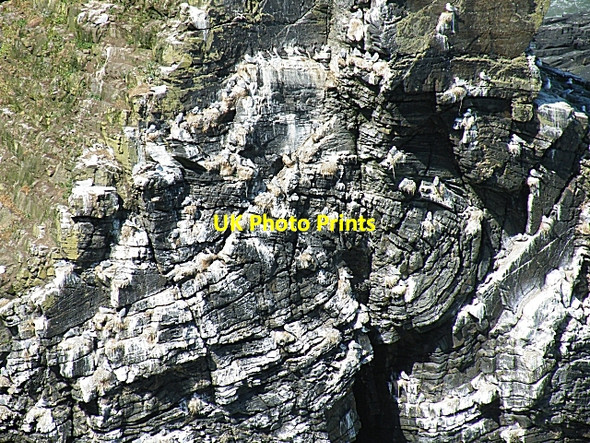 Photo 6"x4" Folds in Green Craig Whinnyfold c2010
