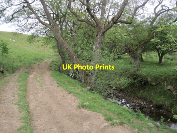 Photo 6"x4" Bridleway towards Watergate Stonehaugh c2010