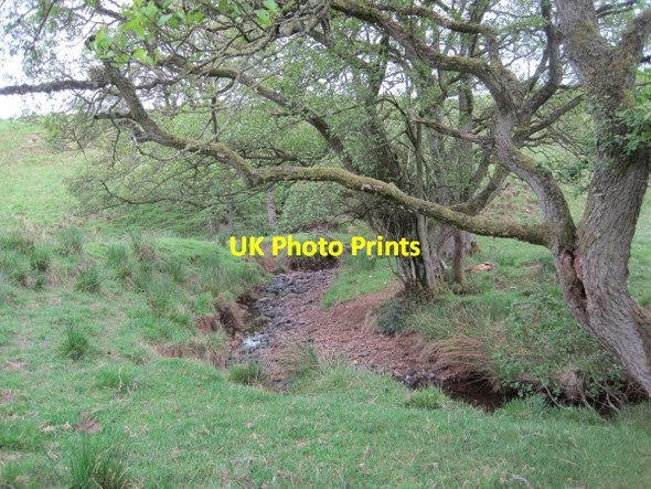 Photo 6"x4" Swineshaw Burn Stonehaugh c2010