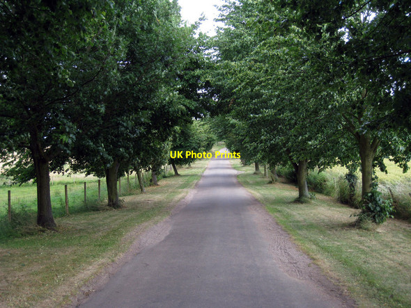 Photo 6"x4" Drive to Greathed Manor Dormansland c2010