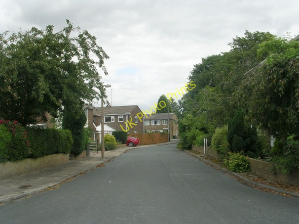 Photo 6"x4" Norman Grove - Westfield Lane Wyke\/SE1526 c2009