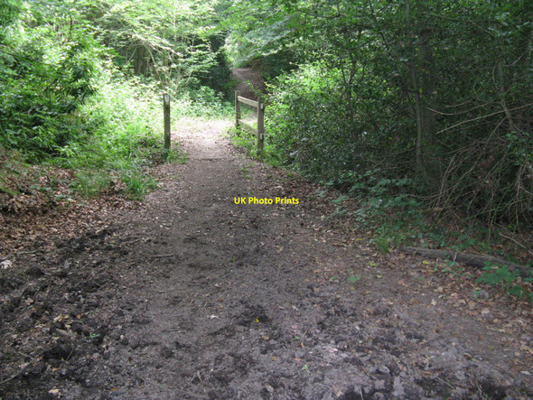 Photo 6"x4" Bridleway bridge in Sinnock's Rough near Sweethaws Crowborough\/TQ5130 c2010