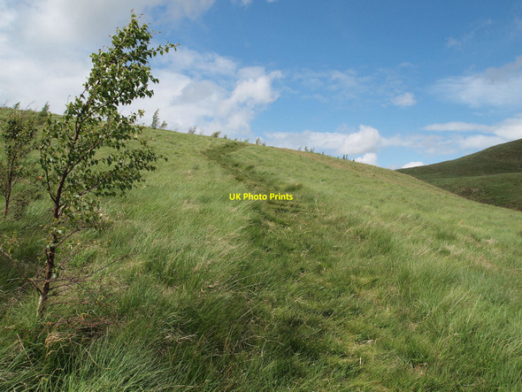 Photo 6"x4" New path above Glen Sherup Ben Shee c2010