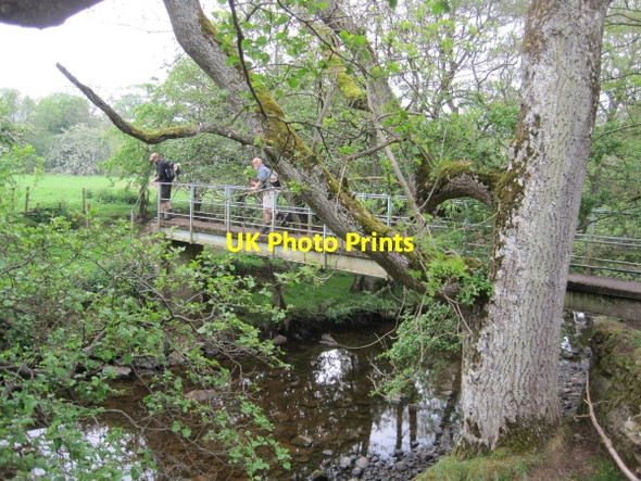 Photo 6"x4" Footbridge across the Houxty Burn Bridge Ho\/NY8279 c2010