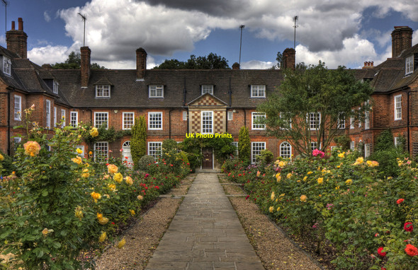 Photo 6"x4" Corringham Roses Hampstead\/TQ2685 c2010