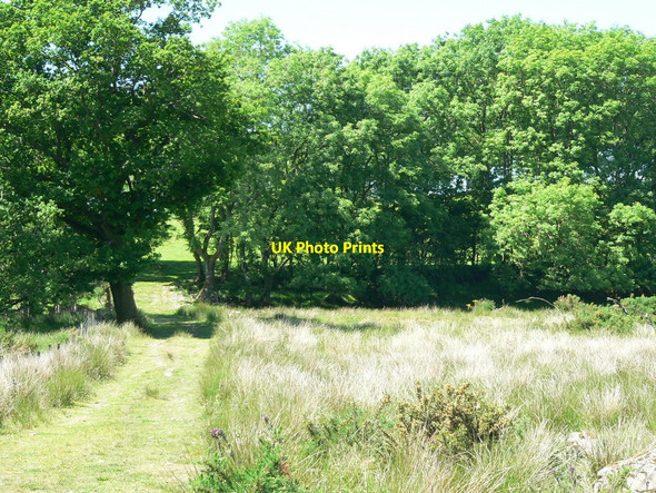 Photo 6"x4" Hillside access near Knockskeog Farm Spittal\/NX3657 c2010