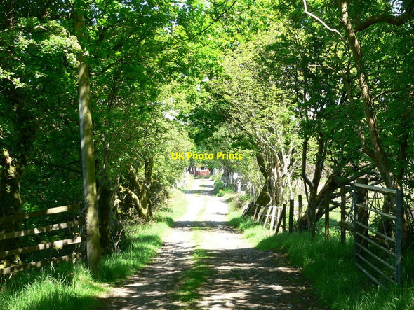 Photo 6"x4" Farm entrance road Spittal\/NX3657 c2010