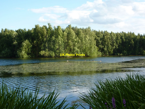 Photo 6"x4" View across a lake Torworth c2010