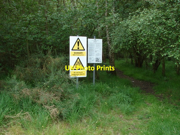 Photo 6"x4" Bisley Common Lucas Green\/SU9459 c2010