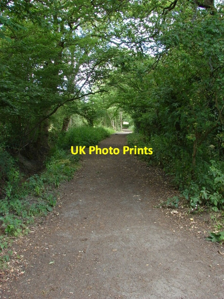 Photo 6"x4" Kiln Lane, Bisley Bisley\/SU9559 c2010