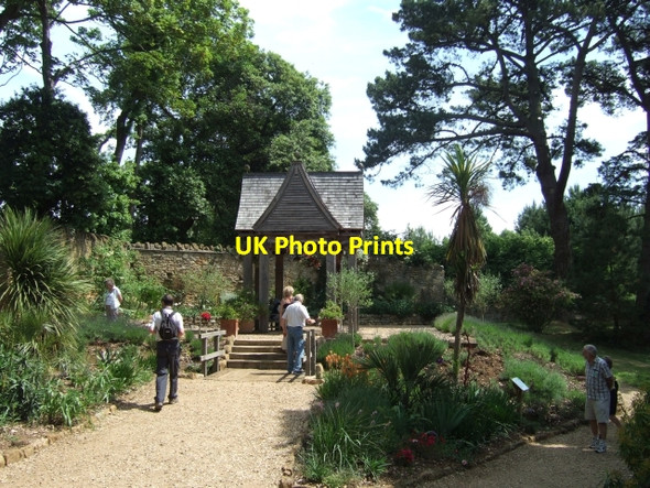 Photo 6"x4" In Abbotsbury subtropical gardens Abbotsbury\/SY5785 c2010