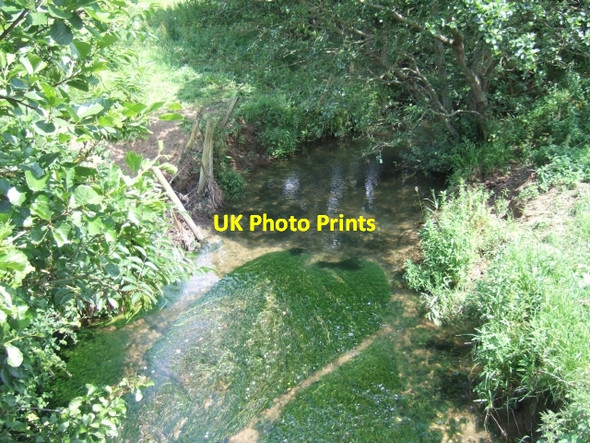Photo 6"x4" River Bride near Clayhanger Puncknowle c2010