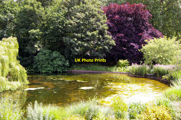 Photo 6"x4" Lake in St James's Park, London Westminster c2010