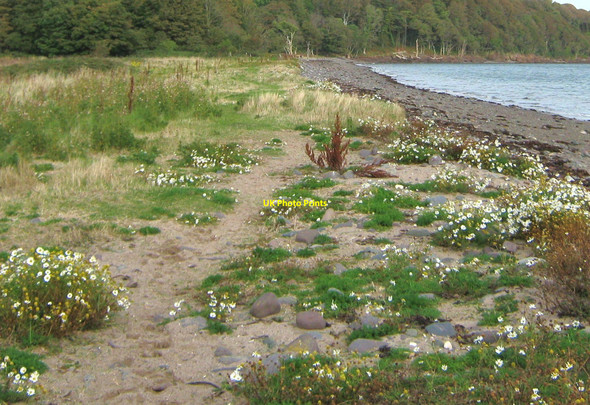 Photo 6"x4" A lochside path Kirkcolm c2009