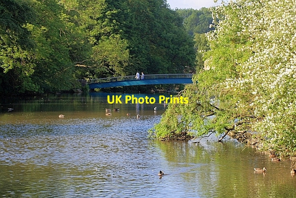 Photo 6"x4" Footbridge over the Wye Bakewell c2010