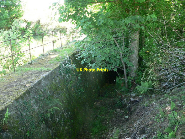 Photo 6"x4" Drainage gulley above woodland Clachan\/NR7656 c2010
