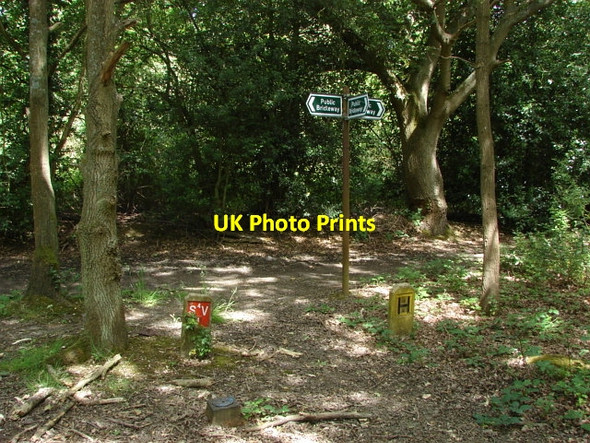 Photo 6"x4" Stafford Lake Sheets Heath c2010