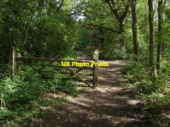 Photo 6"x4" Stafford Lake Lucas Green\/SU9459 c2010