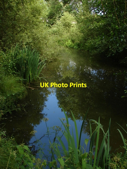 Photo 6"x4" Stafford Lake Miles Green\/SU9558 c2010