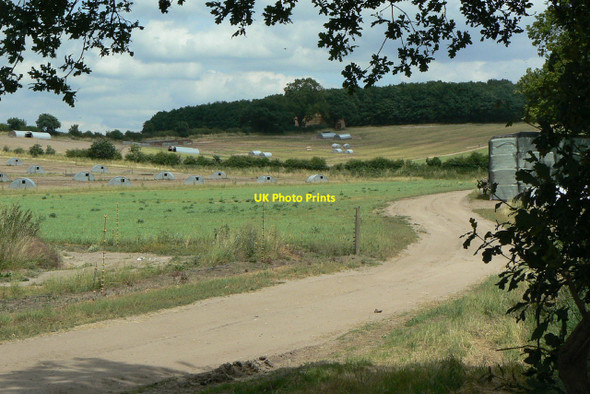 Photo 6"x4" Near Hilltop Farm Bestwood Village c2010